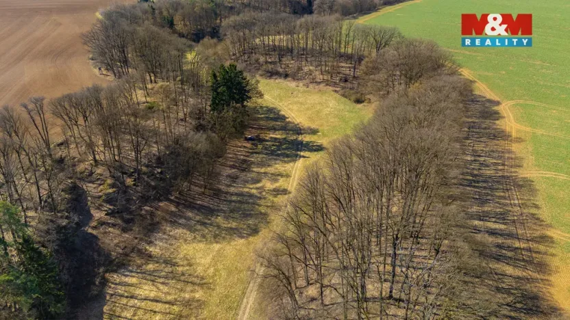 Prodej louky, Tachov, 12761 m2