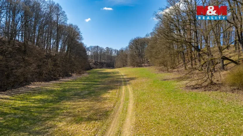 Prodej louky, Tachov, 12761 m2