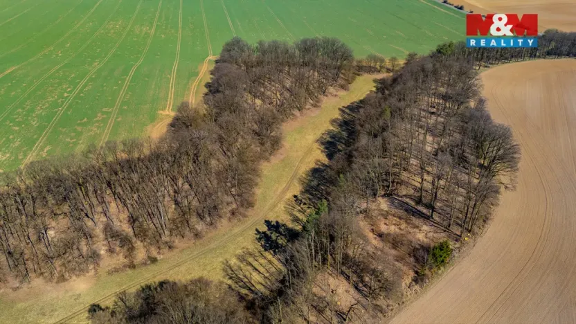 Prodej louky, Tachov, 12761 m2