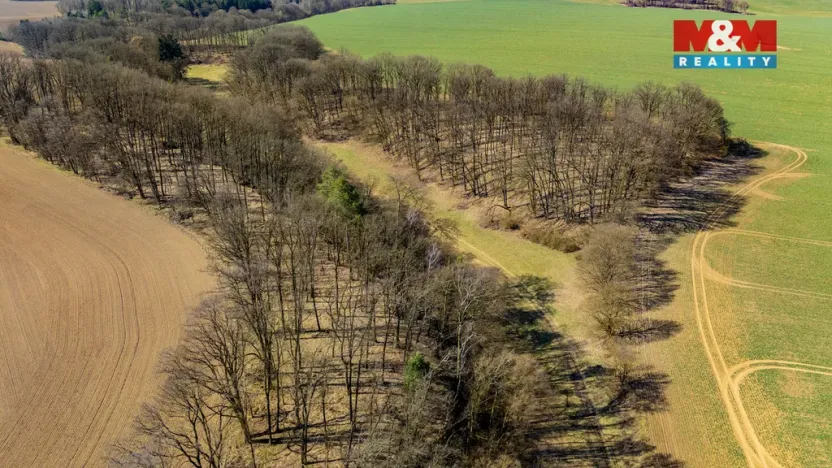 Prodej louky, Tachov, 12761 m2