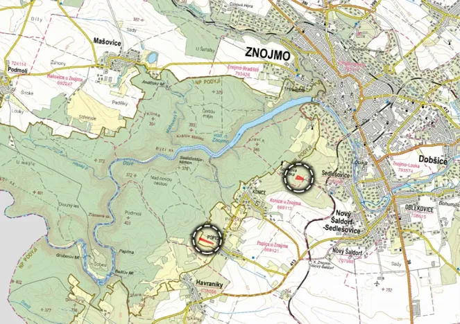 Prodej pole, Nový Šaldorf-Sedlešovice, 12133 m2