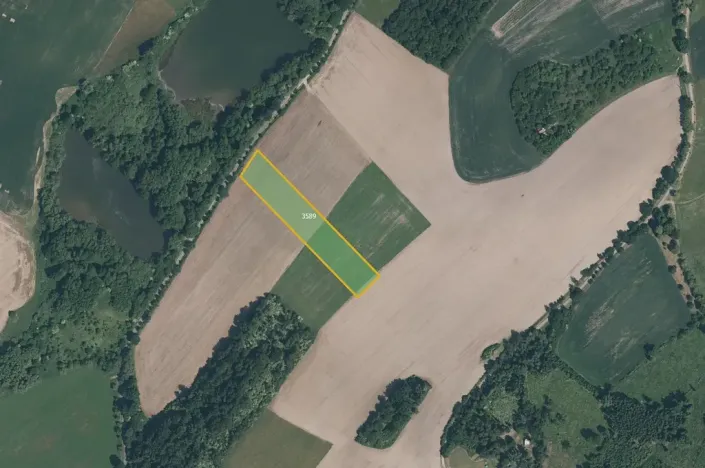 Prodej pole, Kout na Šumavě, 31661 m2