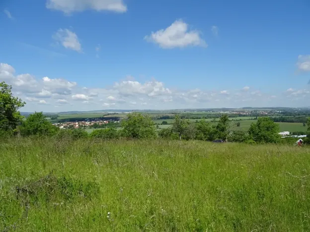 Prodej zahrady, Židlochovice, 4210 m2
