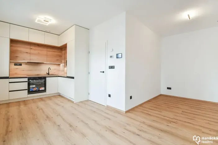 Pronájem bytu 1+kk, Olomouc, Hálkova, 30 m2