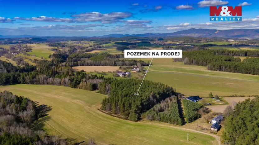 Prodej lesa, Všelibice - Přibyslavice, 23199 m2