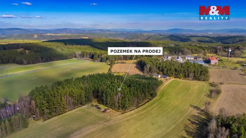 Prodej lesa, Všelibice - Přibyslavice, 23199 m2