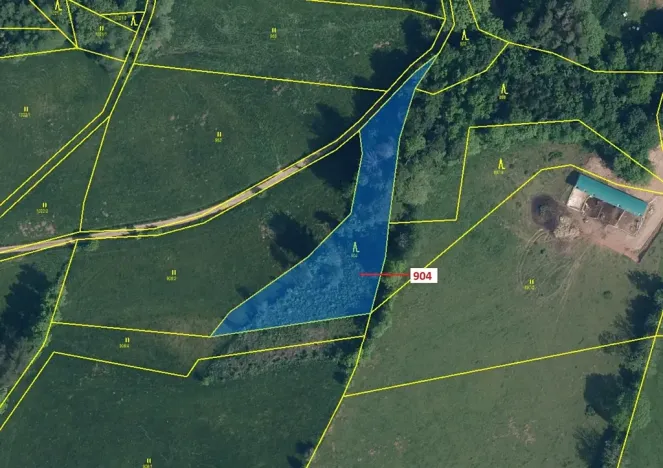 Dražba lesa, Bystrá nad Jizerou, 2802 m2