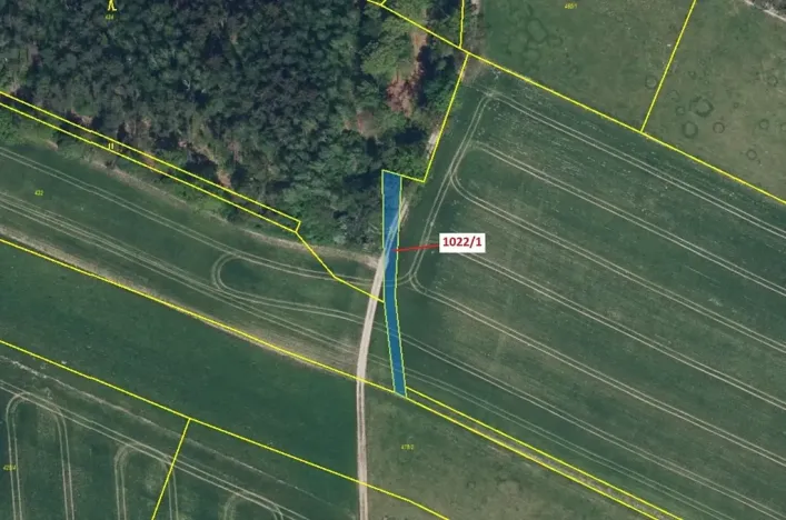 Dražba pole, Olešnice, 318 m2