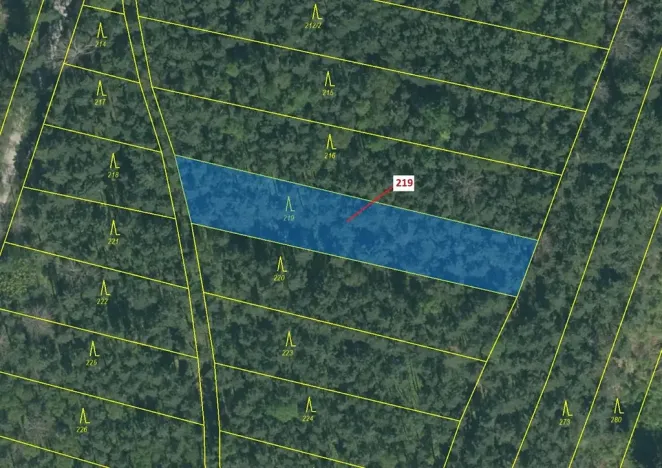 Dražba lesa, Vesce, 1673 m2