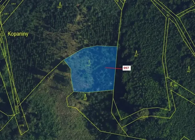 Dražba lesa, Lhota Rapotina, 1938 m2