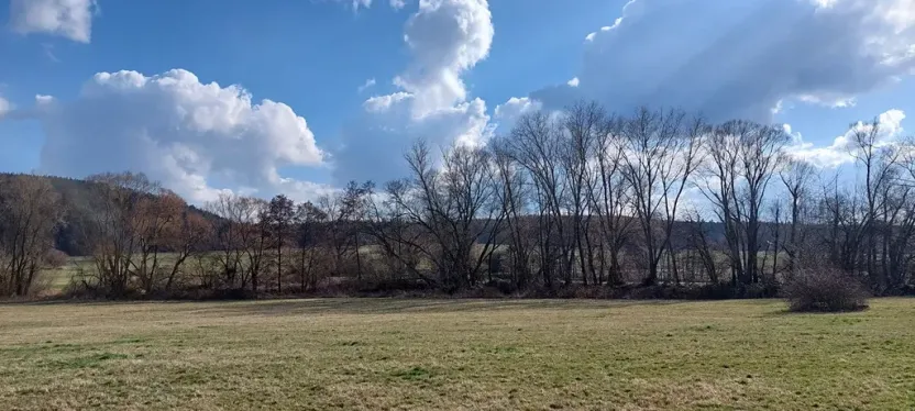 Prodej podílu louky, Podluhy, 1240 m2