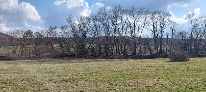 Prodej podílu louky, Podluhy, 1240 m2