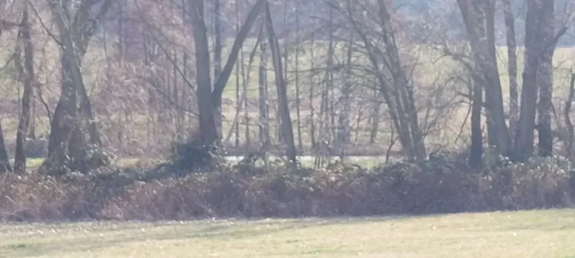 Prodej podílu louky, Podluhy, 1240 m2