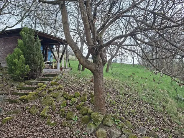 Pronájem bytu 1+kk, Břestek, 50 m2