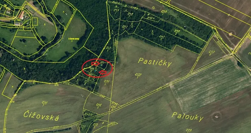 Prodej lesa, Plaveč, 1640 m2