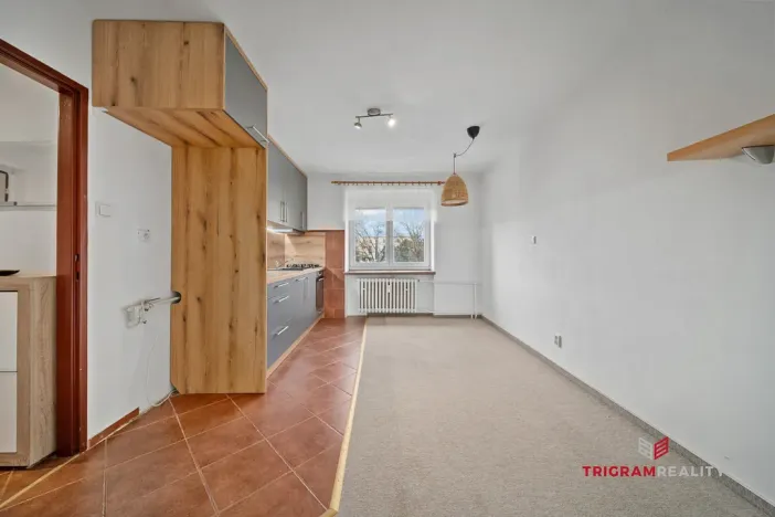 Prodej bytu 2+1, Pardubice - Zelené Předměstí, Wolkerova, 50 m2