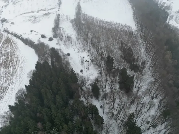 Prodej pozemku, Adršpach, 67106 m2