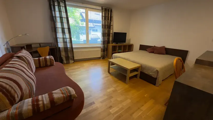 Pronájem bytu 1+kk, Brno, Vinohrady, 38 m2
