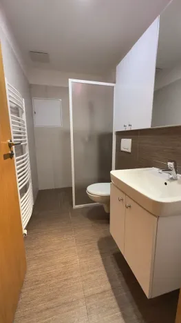 Pronájem bytu 1+kk, Brno, Vinohrady, 38 m2