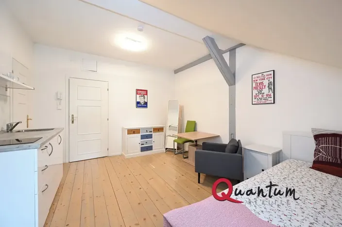 Pronájem bytu 1+kk, Praha - Smíchov, U Pernikářky, 23 m2