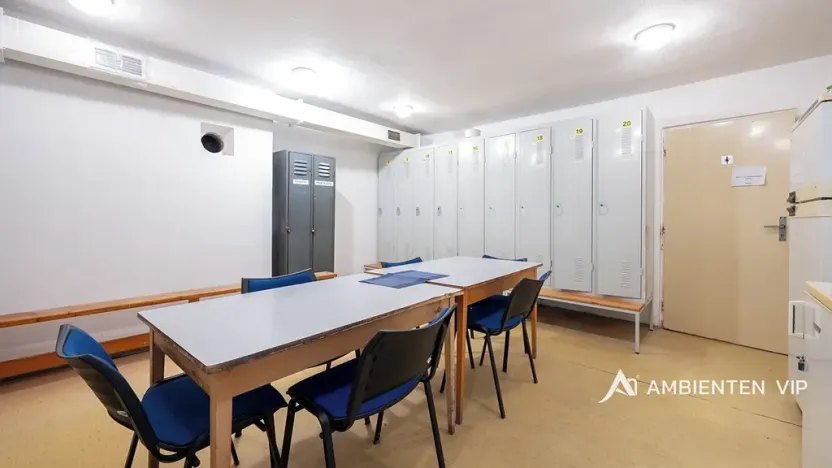 Prodej obchodního prostoru, Újezd u Brna, Nádražní, 901 m2