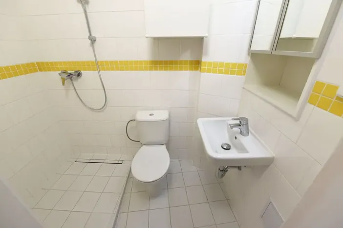 Pronájem bytu 2+kk, Praha - Vinohrady, Na Kozačce, 50 m2