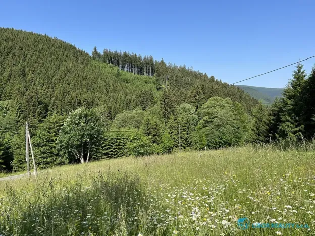 Prodej lesa, Krásná, 21810 m2