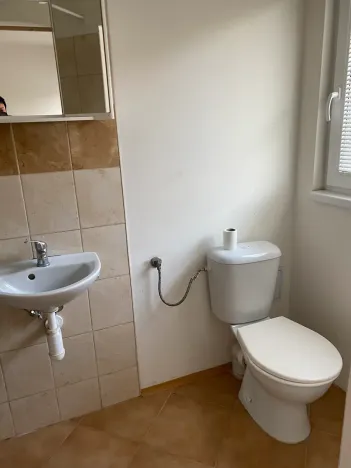 Pronájem bytu 1+kk, Brno, Rybkova, 19 m2