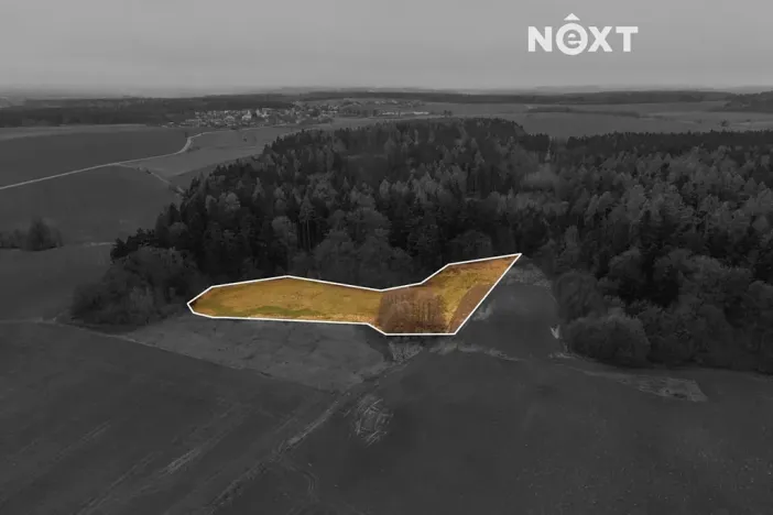 Prodej louky, Niva, 7301 m2