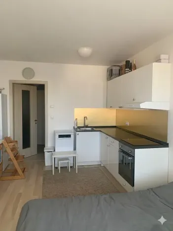 Pronájem bytu 1+kk, Praha - Třebonice, Do zahrádek I, 33 m2