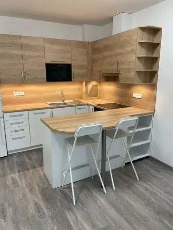 Pronájem bytu 2+kk, Praha - Žižkov, Jeseniova, 45 m2