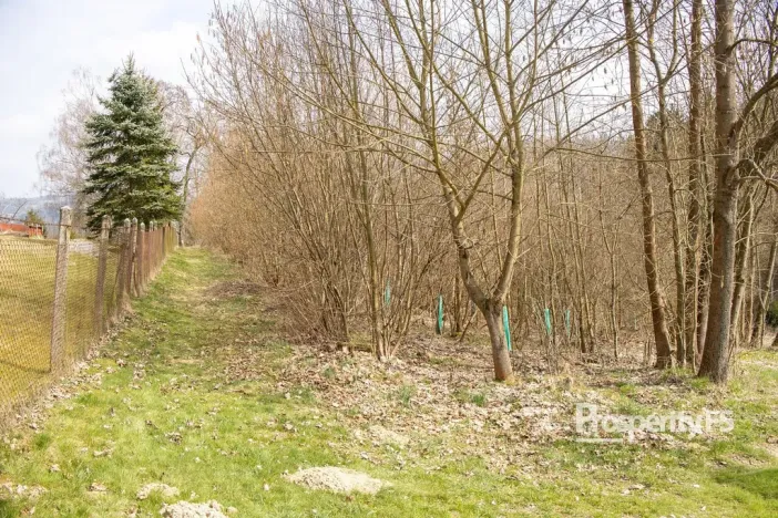 Prodej lesa, Železný Brod, Příkrá, 2712 m2