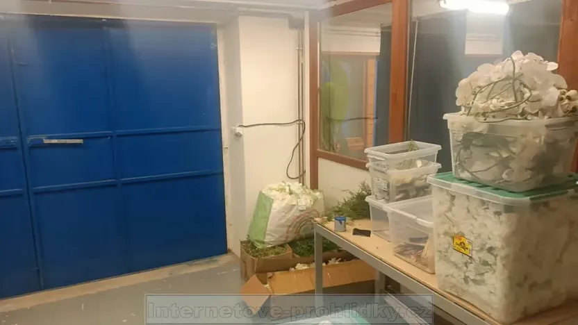 Pronájem skladu, Praha - Žižkov, Olšanská, 10 m2