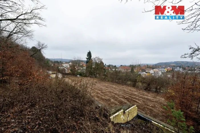 Prodej pozemku pro bydlení, Svinošice, 3250 m2