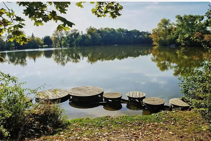 Prodej rodinného domu, Vestec, K Rybníku, 330 m2