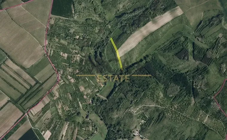 Prodej podílu pole, Hustopeče, 1025 m2