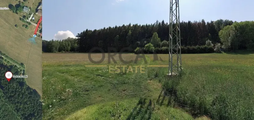 Prodej podílu lesa, Ústí nad Orlicí, 2174 m2