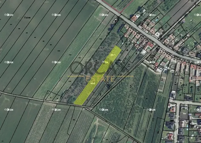 Prodej podílu pole, Moravský Žižkov, 1898 m2