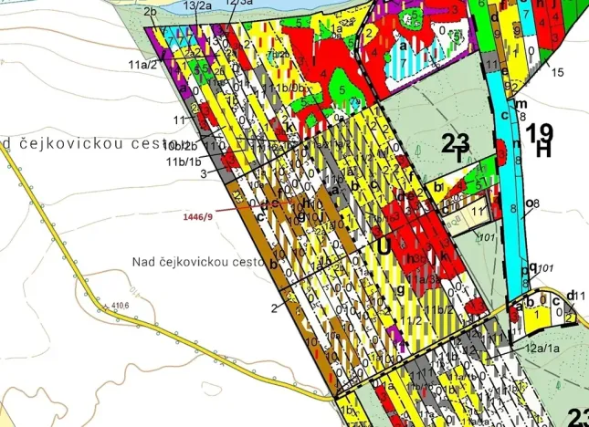 Dražba lesa, Břehov, 19879 m2