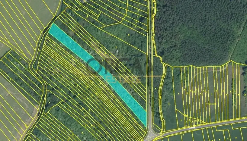 Prodej pole, Březolupy, 17736 m2