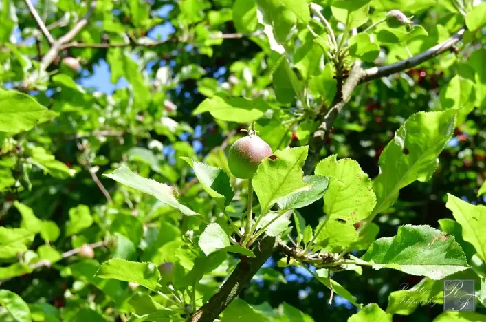 Prodej chaty, Dolní Zálezly, 37 m2
