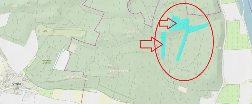 Prodej lesa, Libotenice, 63021 m2