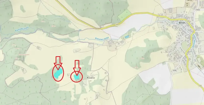 Prodej podílu lesa, Brloh, 5446 m2