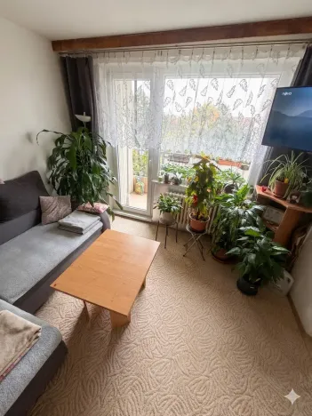 Prodej bytu 1+1, Olomouc - Nová Ulice, Pionýrská, 45 m2