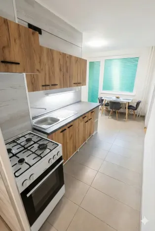 Prodej bytu 1+1, Olomouc - Nová Ulice, Pionýrská, 45 m2