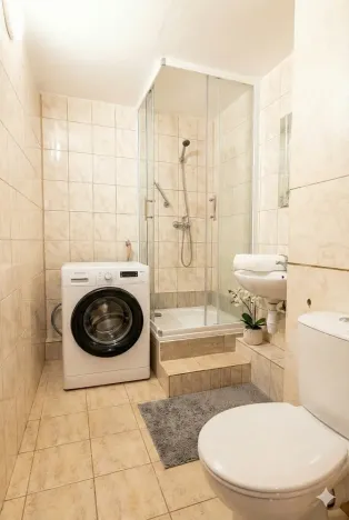 Prodej bytu 1+1, Olomouc - Nová Ulice, Pionýrská, 45 m2