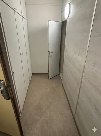 Prodej bytu 1+1, Olomouc - Nová Ulice, Pionýrská, 45 m2