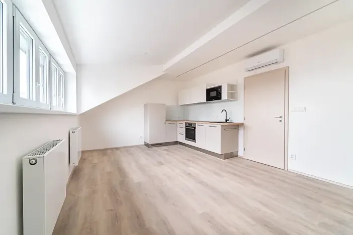 Pronájem bytu 1+kk, Brno, Palackého třída, 29 m2