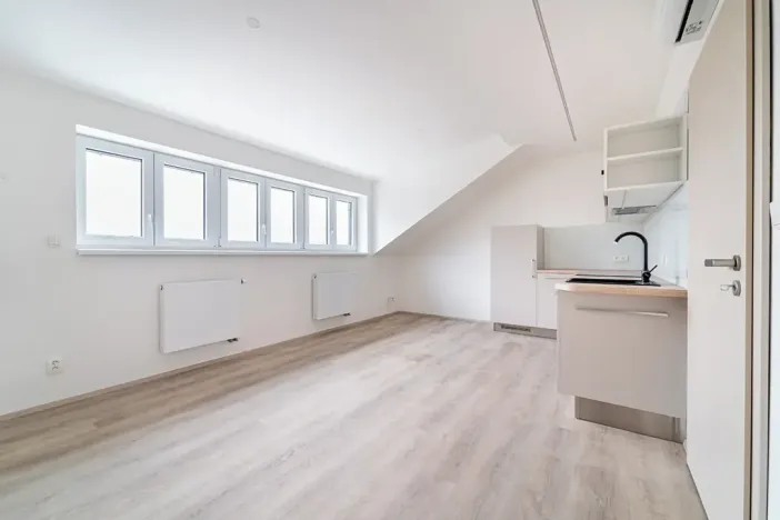Pronájem bytu 1+kk, Brno, Palackého třída, 29 m2