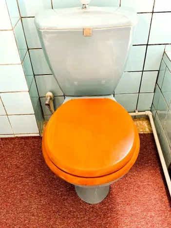 Prodej rodinného domu, Třemošná, 1. máje, 484 m2